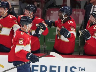 Brady Tkachuk (8) oslavuje gól.