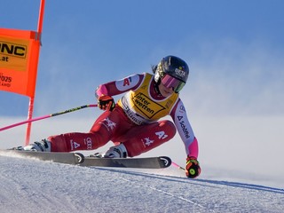 Stephanie Venierová