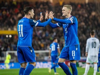 Na snímke hráč Slovenska Ľubomír Tupta (11) a hráč Slovenska Tomáš Bobček (8) počas kvalifikačného zápasu.