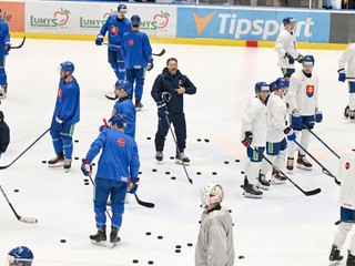 Uprostred tréner Vladimír Országh na spoločnom tréningu počas zrazu slovenskej hokejovej reprezentácie