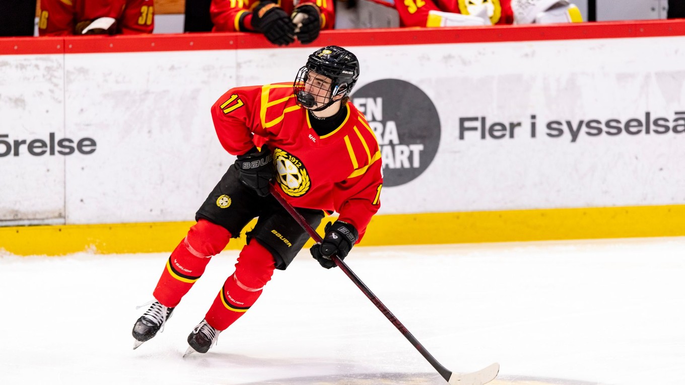 Slovenský útočník Michal Svrček v drese Brynäs IF. 