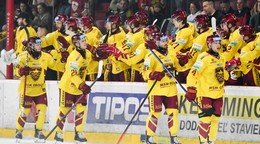 Hokejisti Trenčína