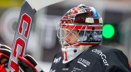 Stanislav Škorvánek.