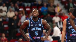 Nitra Blue Wings.