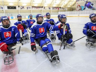 Slovenskí parahokejisti.