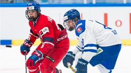 Momentka zo zápasu do 18 rokov: Česko - Slovensko