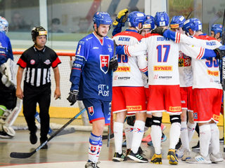 Českí hokejbalisti do 23 rokov po zisku majstrovského titulu. 