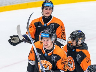 Na snímke hokejisti Michaloviec 
