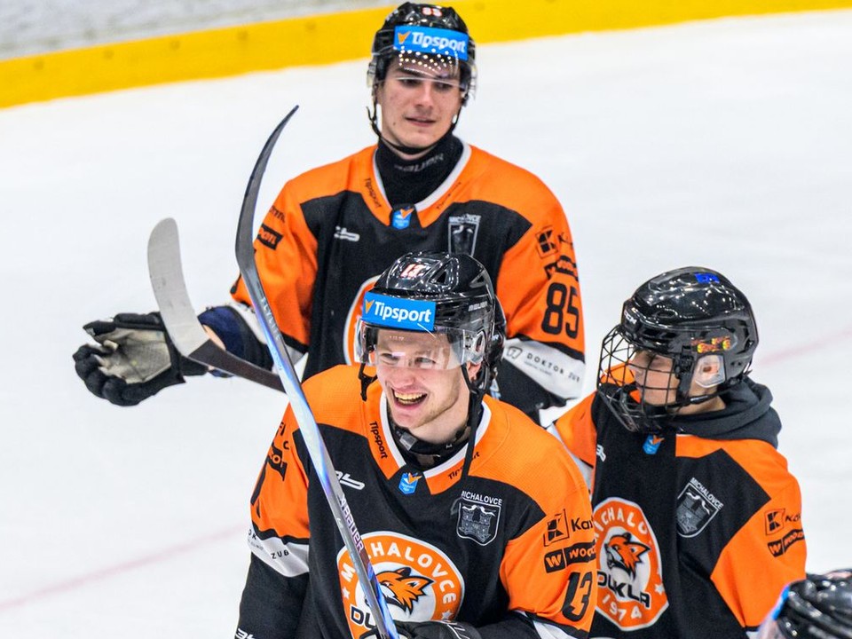 Na snímke hokejisti Michaloviec 
