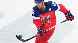 David Pastrňák. 