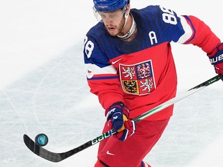 David Pastrňák. 