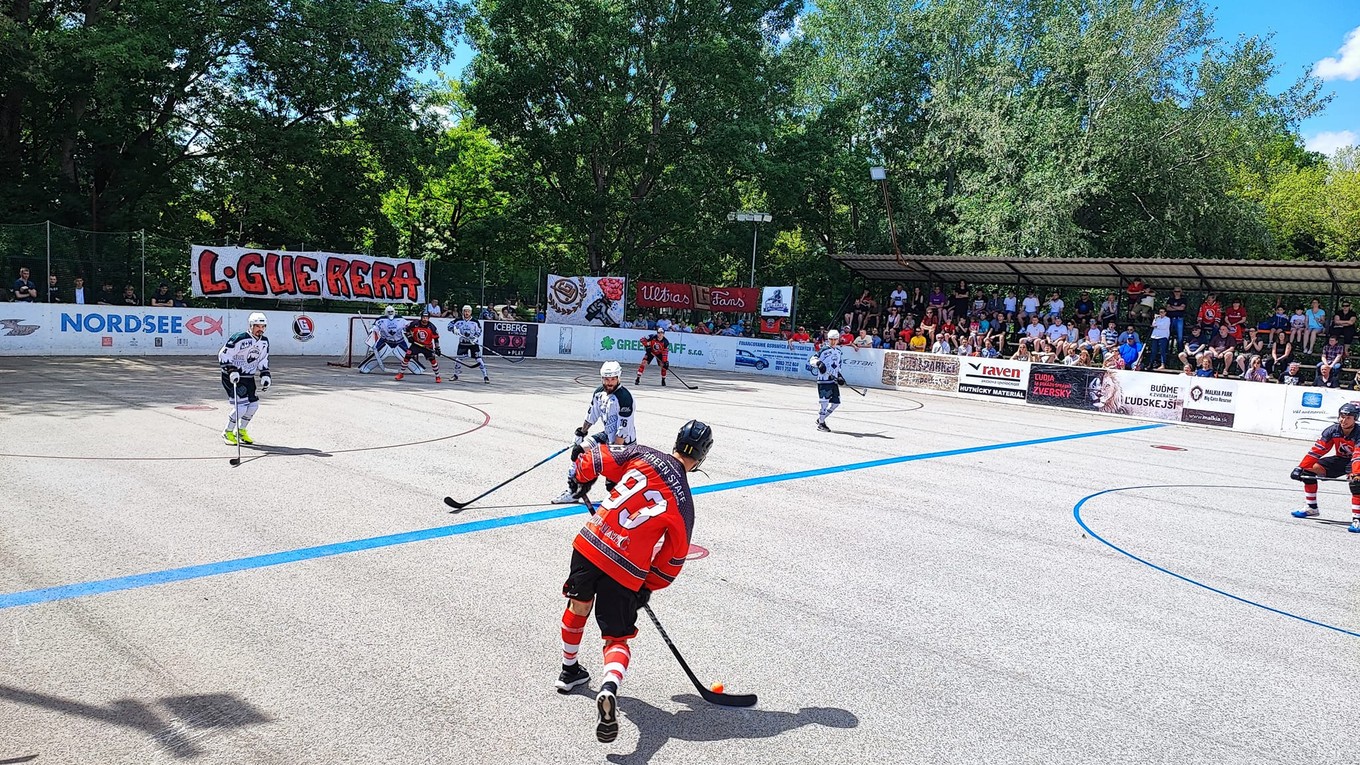 Hokejbalová extraliga.