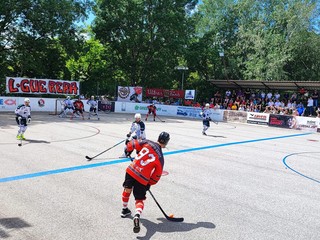 Hokejbalová extraliga.