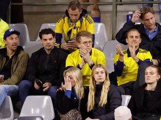 Švédski fanúšikovia. 