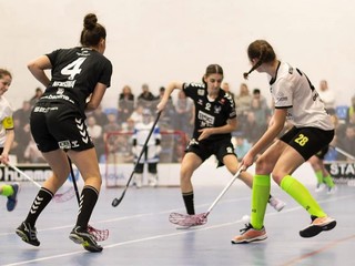 Archívna snímka florbalovej extraligy.