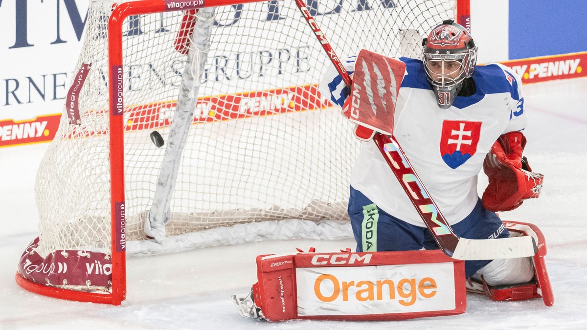Na snímke brankár Stanislv Škorvánek (Slovensko).