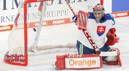 Na snímke brankár Stanislv Škorvánek (Slovensko).