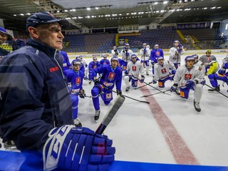 Slovensko čaká príprava na MS v hokeji 2021.