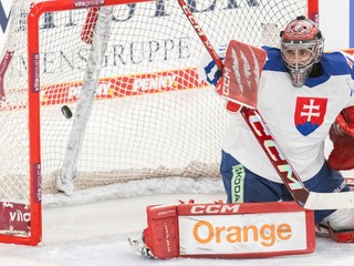 Na snímke brankár Stanislv Škorvánek (Slovensko).