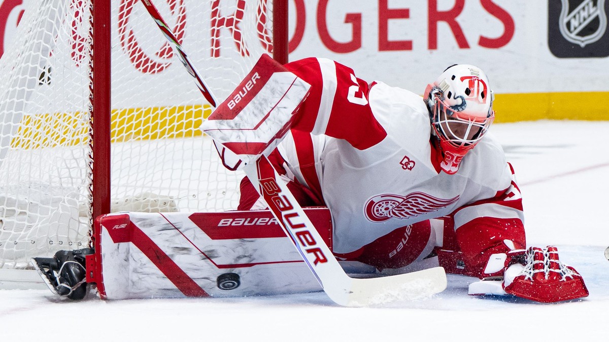 Michal Postava debutoval v NHL v drese Detroitu Red Wings. 