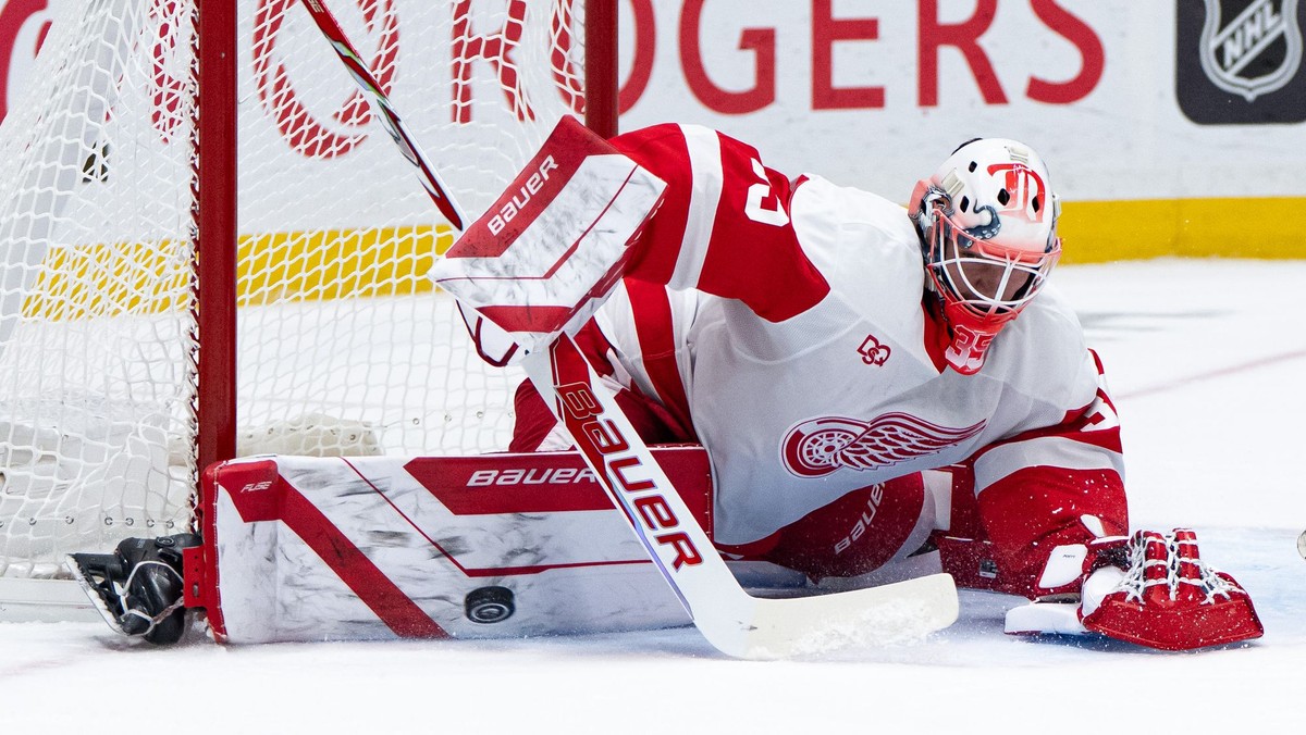 Michal Postava debutoval v NHL v drese Detroitu Red Wings. 