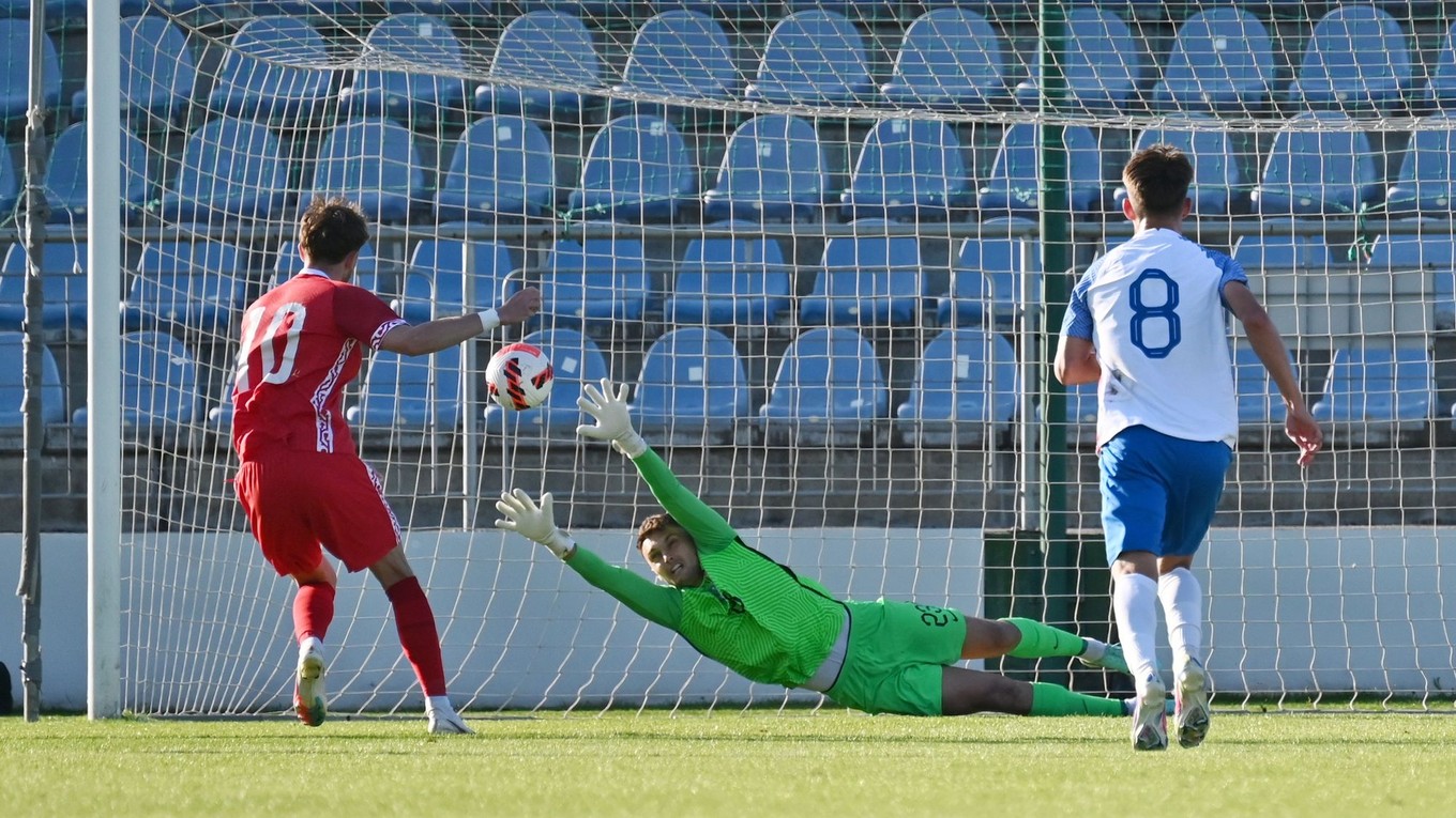 Adam Danko v bráne Slovenska.