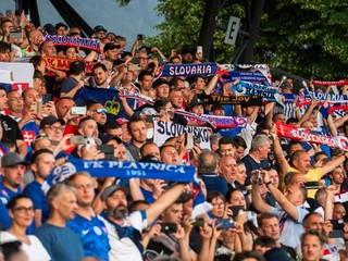 Na snímke sú fanúšikovia slovenskej futbalovej reprezentácie. 