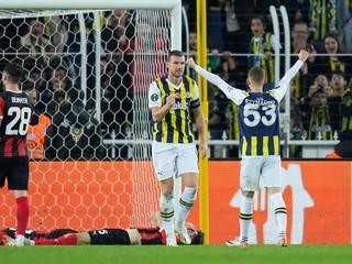 Edin Džeko sa teší po strelenom góle v zápase Fenerbahce Istanbul - Spartak Trnava.