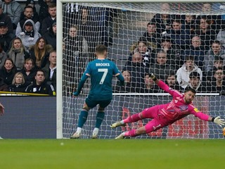 Martin Dúbravka dostáva gól v zápase Newcastle - Bournemouth.