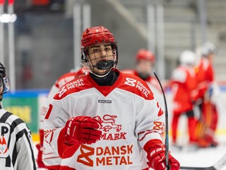 Dánsko (U18) - hokej