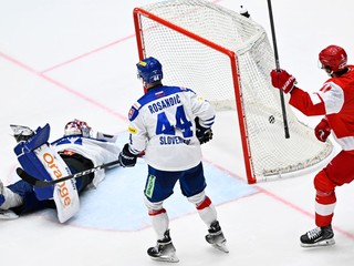 Samuel Hlavaj dostáva gól v zápase proti Dánsku.