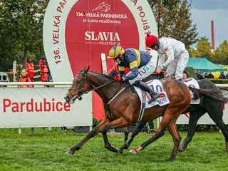 Final Orders sa stal víťazom 136. ročníka Veľkej pardubickej