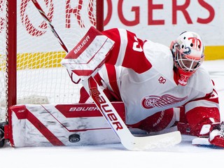 Michal Postava debutoval v NHL v drese Detroitu Red Wings.