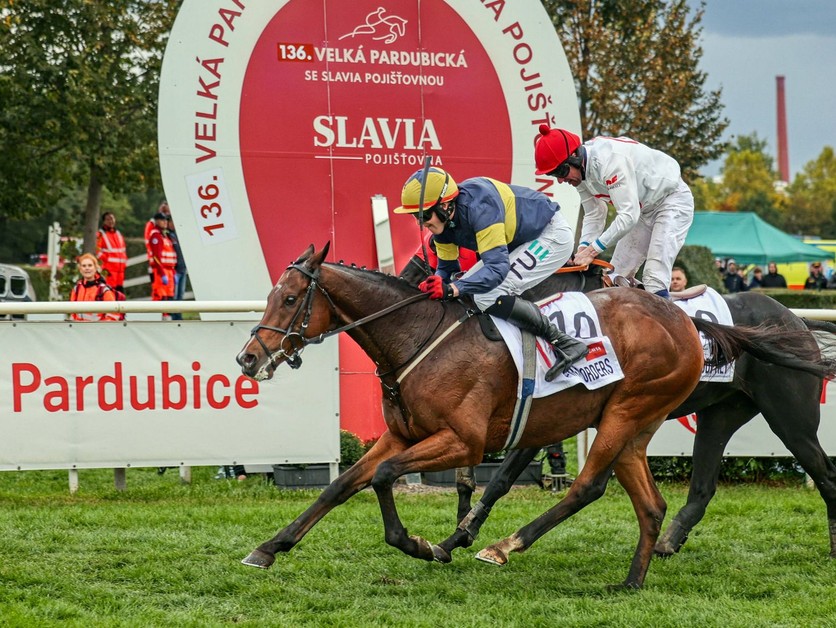 Final Orders sa stal víťazom 136. ročníka Veľkej pardubickej