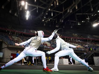 šerm - ilustračný záber