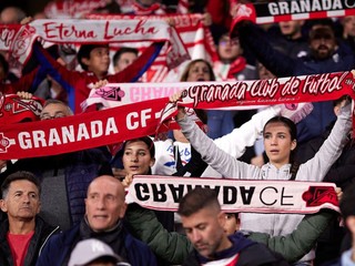 Fanúšikovia tímu Granada CF.