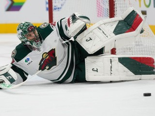 Marc-Andre Fleury