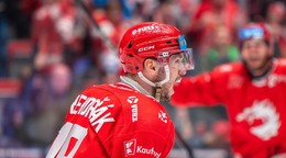 Slovenský hokejista Patrik Hrehorčák. 