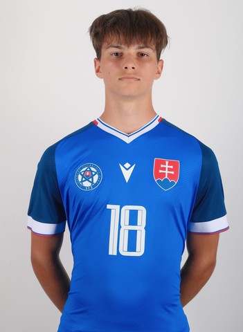 Alex Mitlik