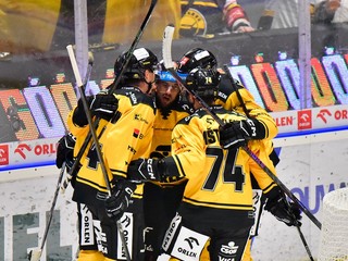 Radosť hráčov HC Verva Litvínov po strelení gólu.