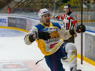 HC 19 Humenné oslavuje gól v zápase Tipos SHL.