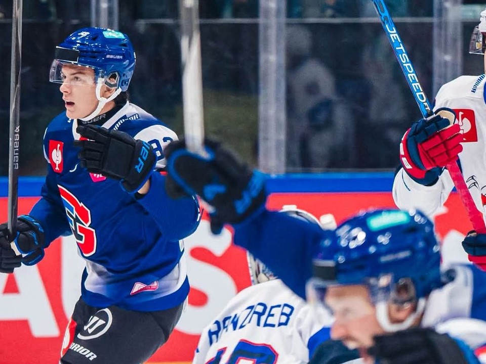 Fotka zo zápasu Fribourg-Gottéron﻿ - Adler Mannheim.
