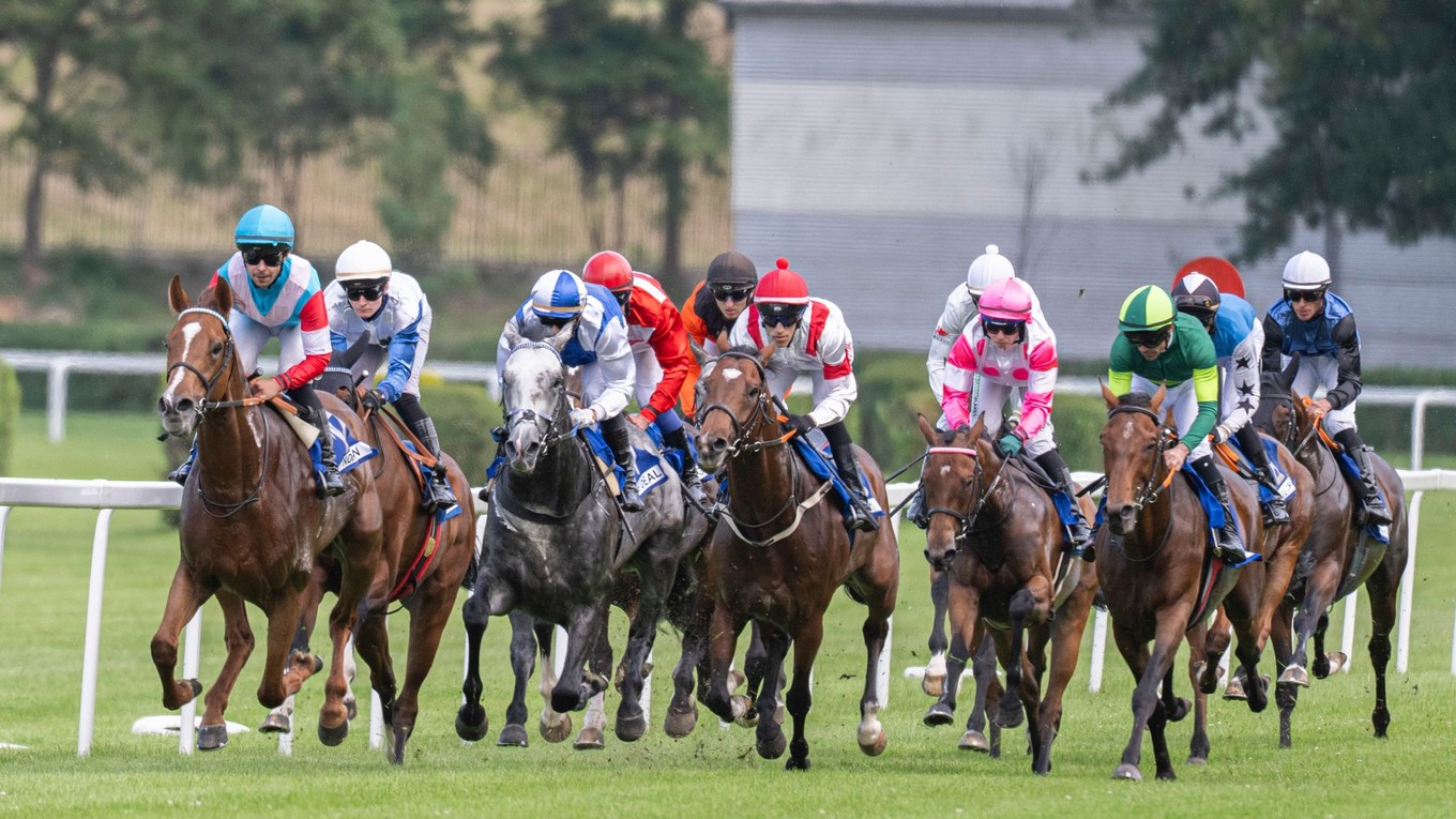 Džokeji počas 41. Veľkej ceny Slovenska spoločnosti Lesy SR.