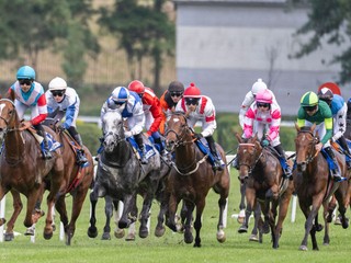 Džokeji počas 41. Veľkej ceny Slovenska spoločnosti Lesy SR.