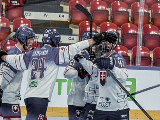 Slovenskí hokejbalisti