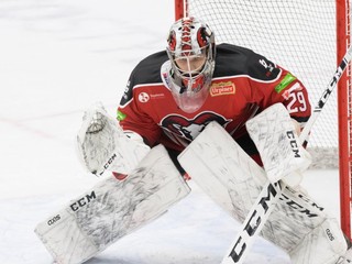 Matej Gajan.