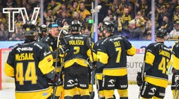 Hokejisti HC Verva Litvínov.