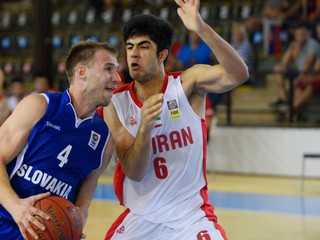 Anton Gavel do roku 2014 reprezentoval Slovensko.