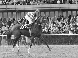 Ron Turcotte, archívna snímka.