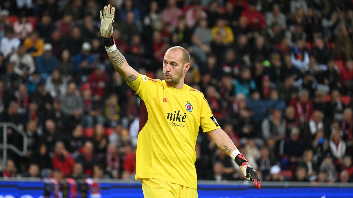 Milan Borjan.